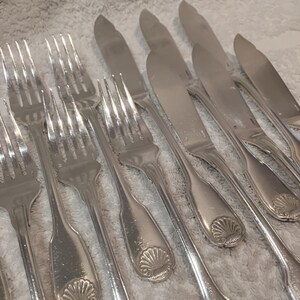 Può includere: Un set di forchette e coltelli in acciaio inossidabile. Le posate presentano un design a conchiglia sui manici. Le forchette hanno quattro rebbi e i coltelli hanno una punta arrotondata. Le posate sono disposte su una superficie chiara.