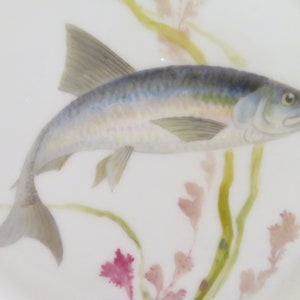 Può includere: Un piatto in porcellana dipinto a mano con un'illustrazione dettagliata di un pesce argentato che nuota tra alghe verdi e rosa.