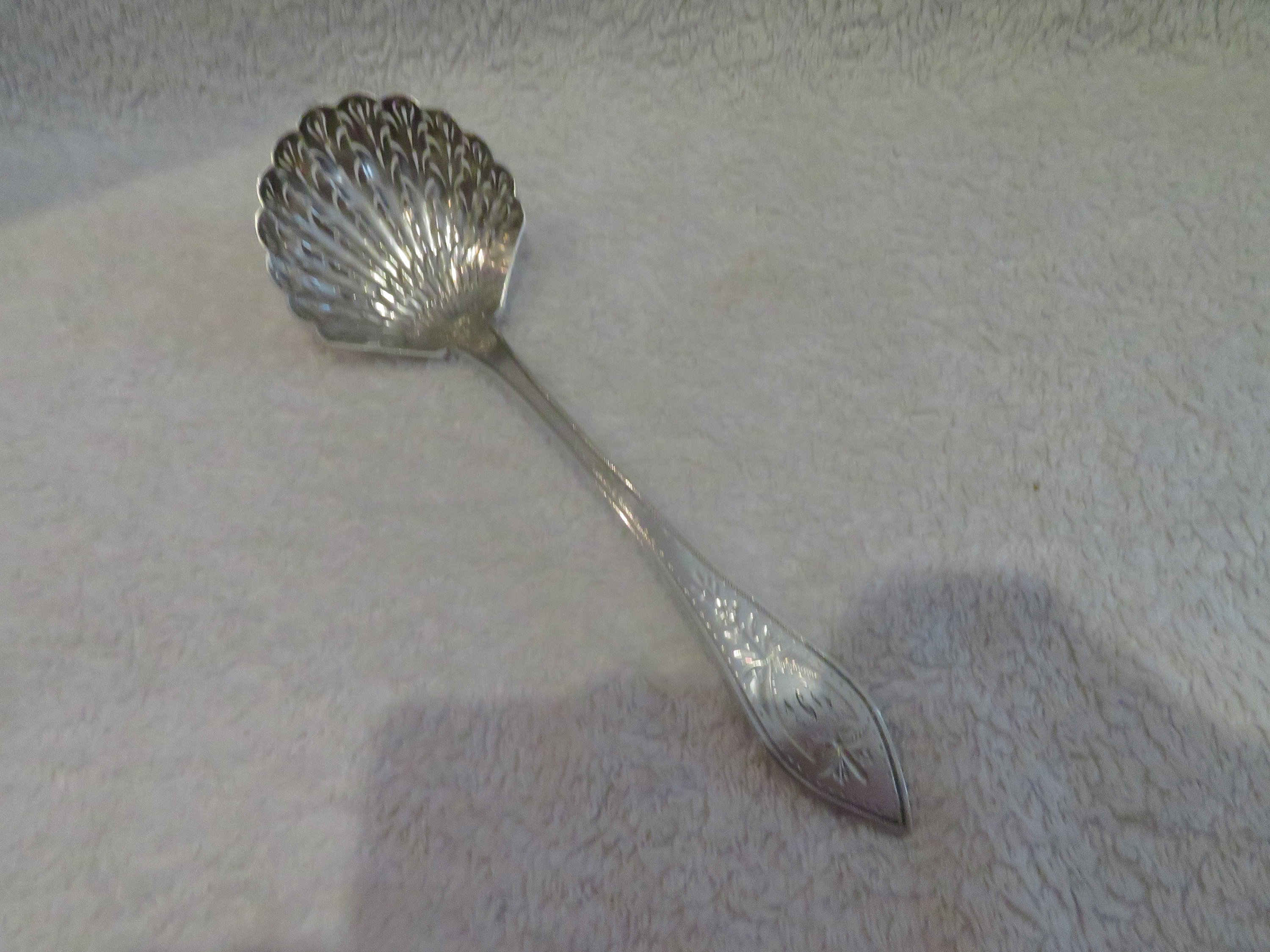 Belle Cuillère À Saupoudrer