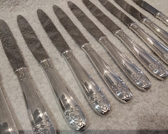 12 cuchillos de postre plateados con mangos de metal, modelo Grand Prix de Monaco, hojas francesas Nogent, 20,5 cm