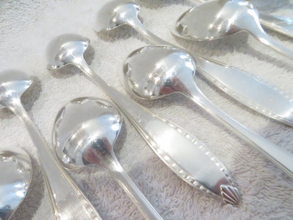 Ménagère Ercuis en Métal Argenté – 24 Pièces ( 12 Cuillères + 12