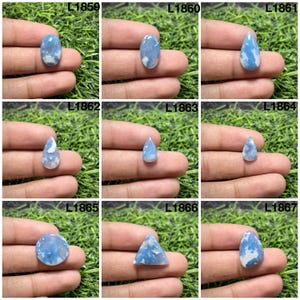 Puede incluir: Una colección de nueve piedras preciosas sueltas con diversas formas, incluyendo cortes ovalados, de lágrima, redondos y triangulares. Cada piedra muestra un patrón jaspeado de colores azul claro y blanco, etiquetadas con los códigos L1859 a L1867.