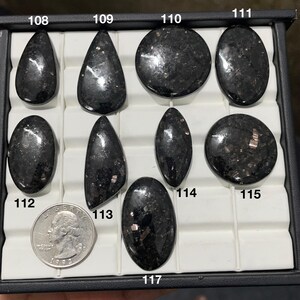 Op de afbeelding: Een verzameling van negen gepolijste zwarte cabochon edelstenen met metaalachtige insluitingen, gerangschikt in een witte displaytray. Elke steen is gelabeld met een nummer van 108 tot 117. Een Amerikaanse quarter munt dient als schaal.
