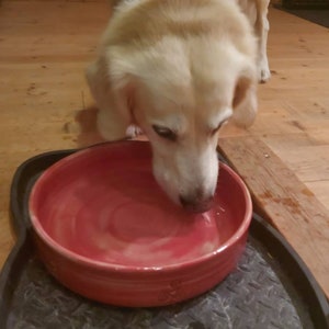 Hondenbak, voerbak, waterbak, keramische bak voor hond of kat