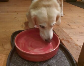 Dog bowl, food bowl, water bowl, ceramic bowl for dog or cat