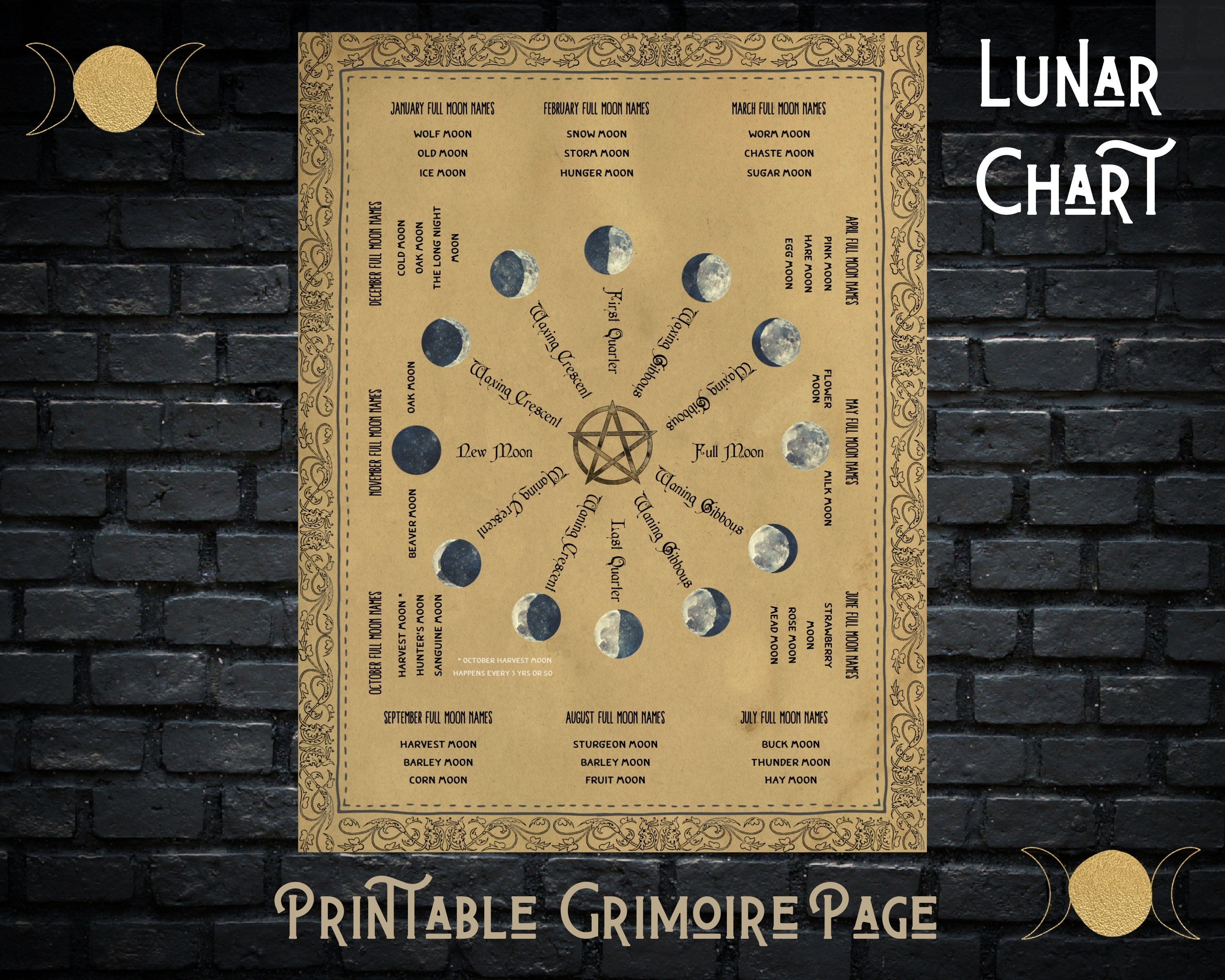 Witch Moon Phases Lunar Chart Etsy
