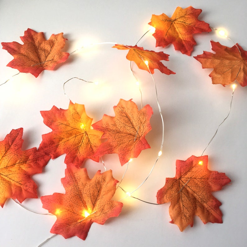May include: A string of warm white fairy lights with orange and brown maple leaf accents. The lights are strung together with a thin silver wire.