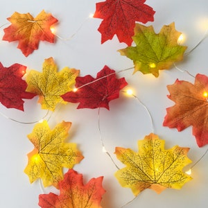 May include: String of fairy lights with warm white lights wrapped around artificial fall leaves in shades of red, yellow, and green.