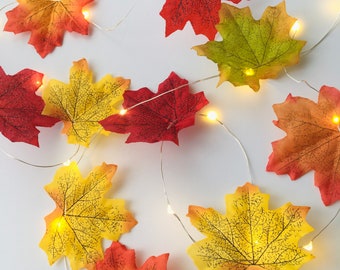 Può includere: Una catena di luci LED con foglie d'acero artificiali nei toni del rosso, arancione e giallo. Le foglie sono fissate a un filo d'argento sottile e flessibile, con piccole luci bianco caldo intervallate tra il fogliame in tessuto.