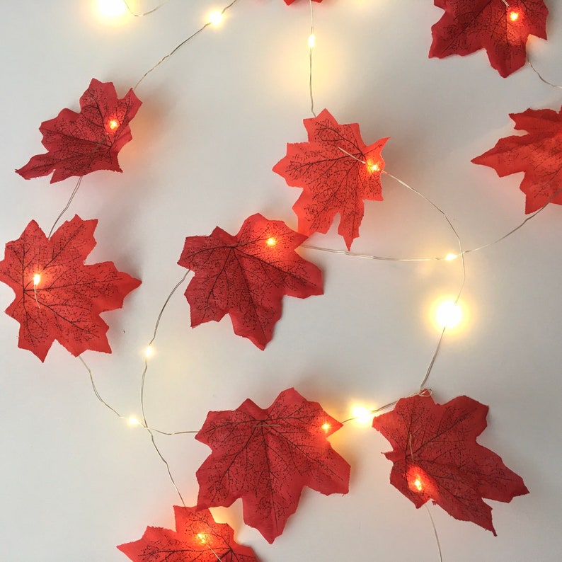 May include: A string of fairy lights with red maple leaf cutouts. The lights are strung on a silver wire and the leaves are evenly spaced.