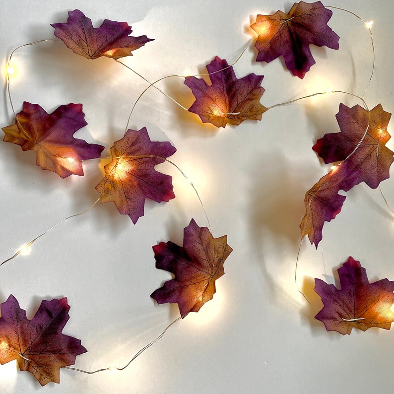 May include: A string of fairy lights with purple and brown maple leaf-shaped bulbs. The lights are strung on a silver wire and are lit up.