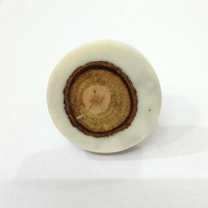 Puede incluir: Un anillo redondo de resina blanca con una incrustaci&oacute;n de madera marr&oacute;n en el centro.