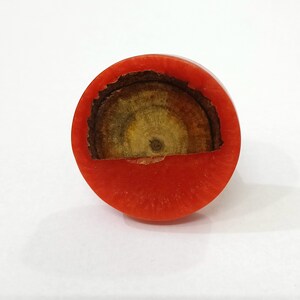 Puede incluir: Un anillo de madera rojo y marr&oacute;n con una abertura circular en el centro. El anillo est&aacute; hecho de madera y tiene un acabado natural.