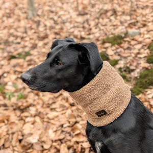 Hundeloop, Hundeschal aus Teddy / Bouclé