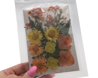 Large Pressed Dry Flowers, Dried Flat Flower Packs, Pressed Flowers For Resin Crafts - 2883