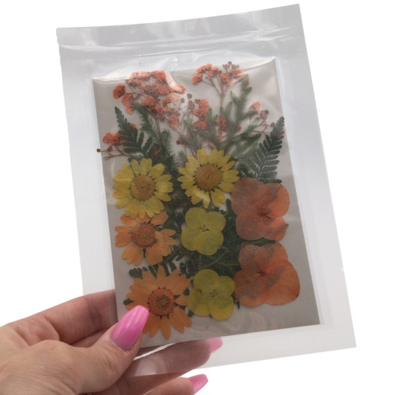 Large Pressed Dry Flowers, Dried Flat Flower Packs, Pressed