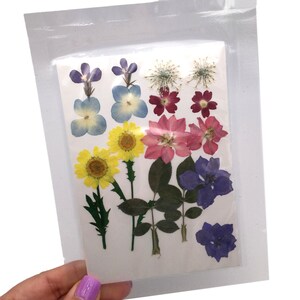 May include: A sheet of pressed flowers with a variety of colors and shapes, including yellow sunflowers, pink roses, blue forget-me-nots, and purple wildflowers.