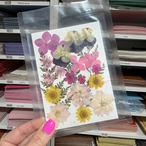 Large Pressed Dry Flowers, Dried Flat Flower Packs, Pressed Flowers For Resin Crafts - 2874