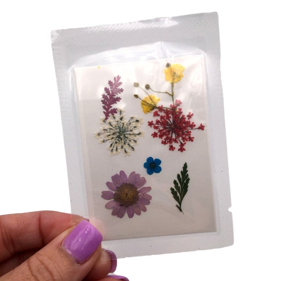 Small Yellow Pressed Dry Flowers, Dried Flat Flower Packs, Pressed Flowers  for Resin Crafts 