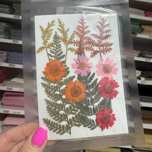 Large Pressed Dry Flowers, Dried Flat Flower Packs, Pressed Flowers For Resin Crafts - 2878