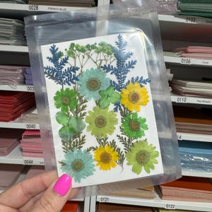 Large Pressed Dry Flowers, Dried Flat Flower Packs, Pressed Flowers For Resin Crafts - 2875