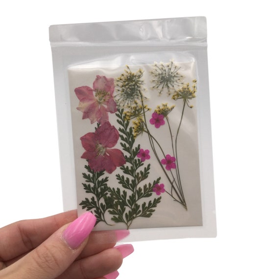 Large Pressed Dry Flowers, Dried Flat Flower Packs, Pressed Flowers for  Resin Crafts 2860 