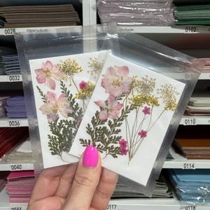 Large Pressed Dry Flowers, Dried Flat Flower Packs, Pressed Flowers For Resin Crafts - 2860
