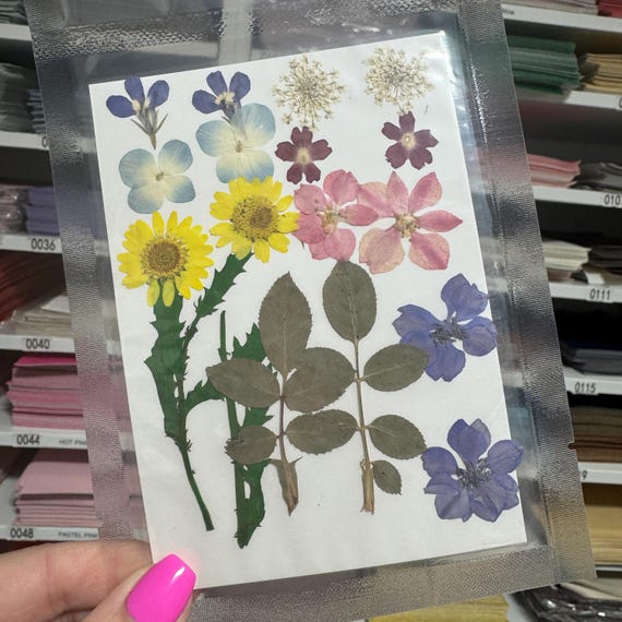 Large Pressed Dry Flowers, Dried Flat Flower Packs, Pressed Flowers For Resin Crafts