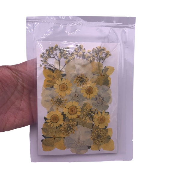 Yellow Dried Flowers for Resin, Dried Flat Flower Packs, Pressed Flowers  for Resin Crafts 