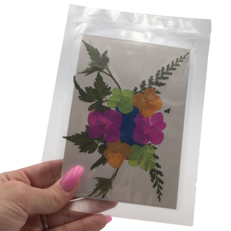 May include: A pressed flower art piece featuring a bouquet of pink, orange, and green flowers with green leaves on a white background.
