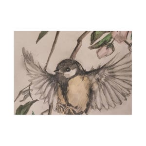 Cartoline, stampa artistica originale di uccelli da giardino, regalo per amanti della natura, set di cancelleria, illustrazione di uccelli disegnata a mano, set di cartoline retrò