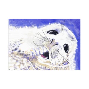 Cartes postales artistiques, impression peinture numérique phoque, papeterie faune océanique, décoration côtière, carte-cadeau pour amoureux de la nature, lot de cartes postales animal marin