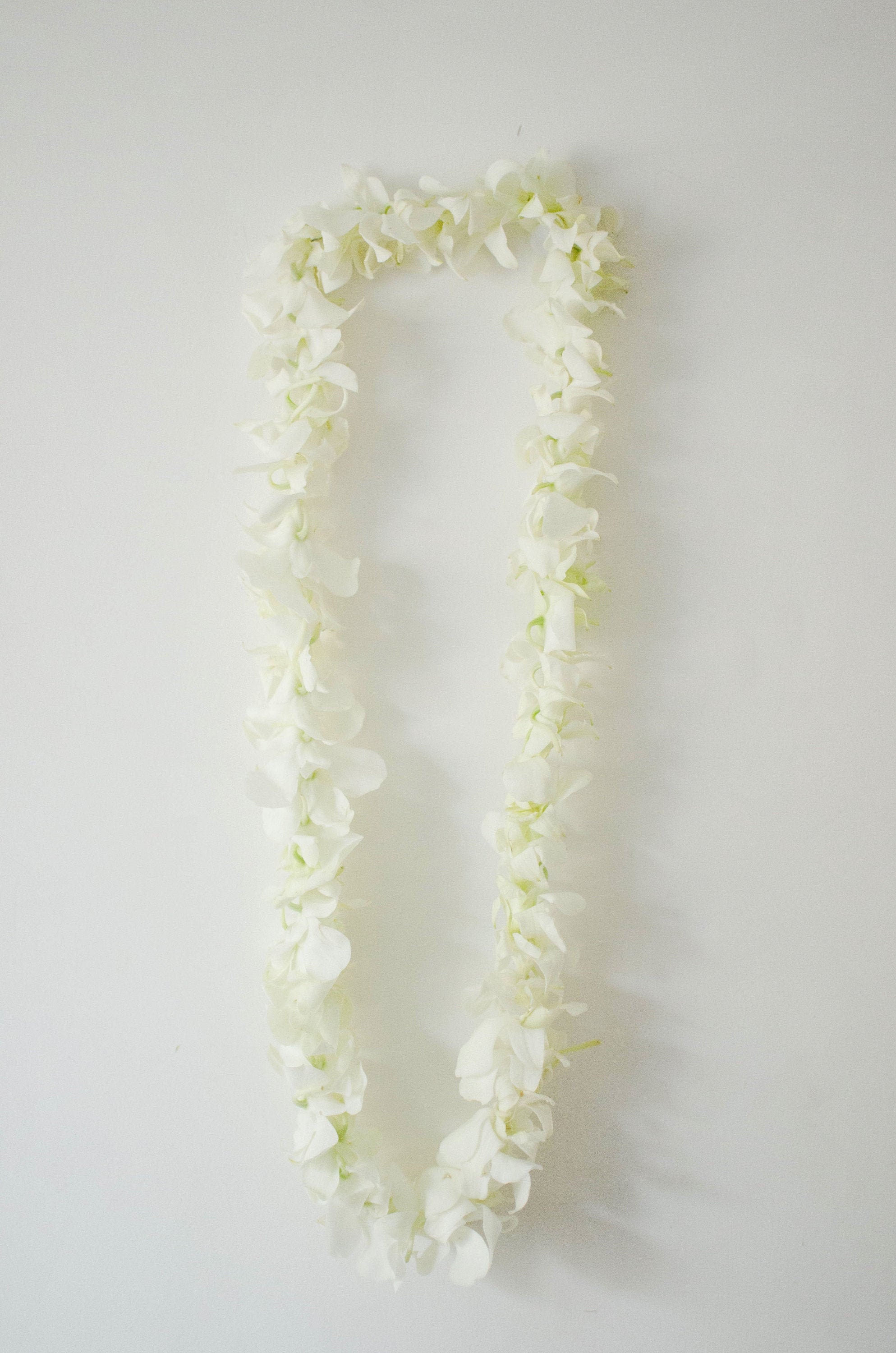 Fresh Flower Lei Orchid Lei Weddings Graduation Etsy