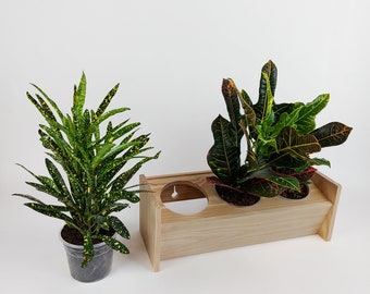 Beautiful 3-piece plant shelf made of pine wood, wooden shelf, home decoration, kitchen shelf for spices, herb shelf