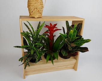 Modern plant shelf made of pine wood for three plants, including insert pots