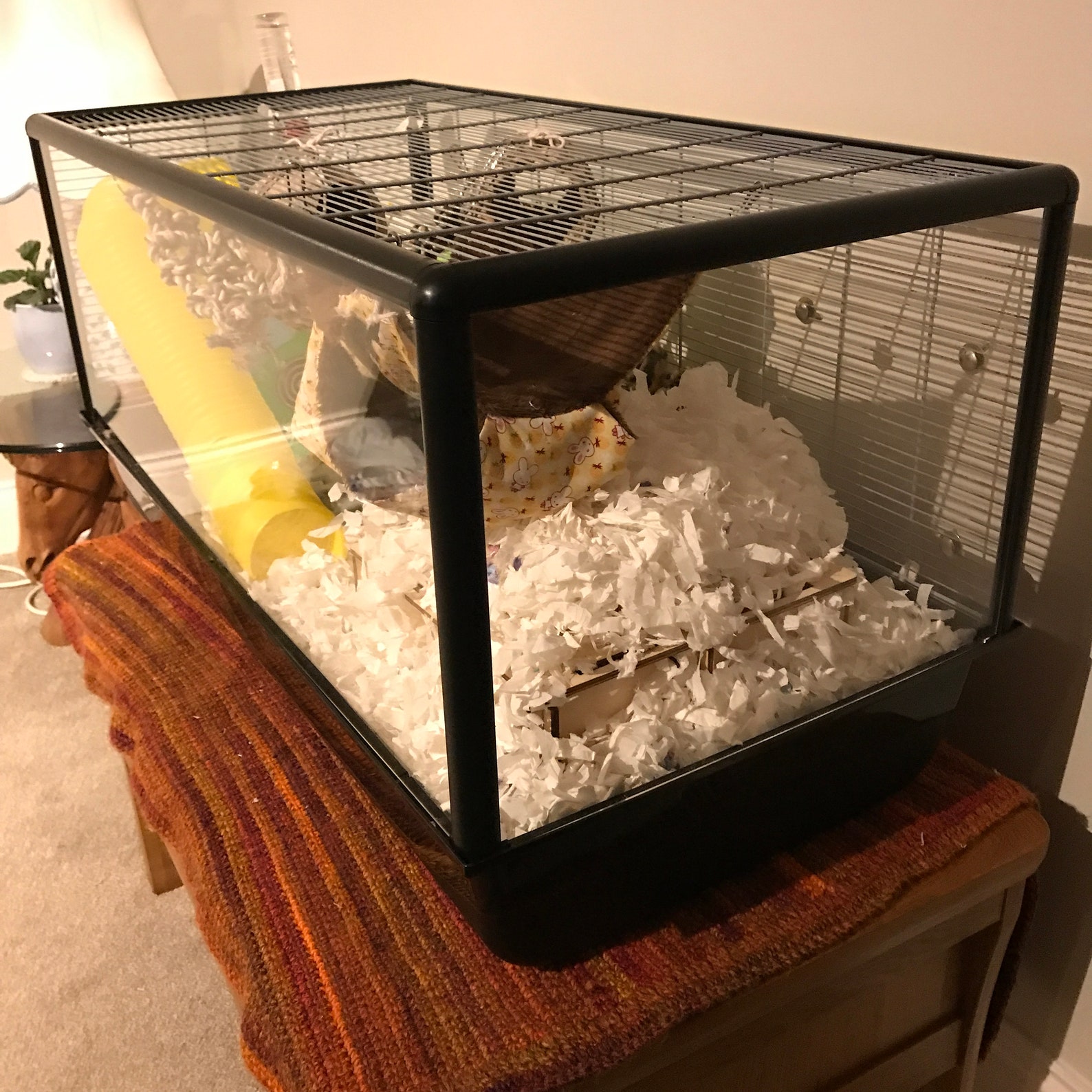 Savic Plaza Complete Cage Screens Etsy UK