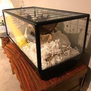 May include: A black hamster cage with a yellow tube, a brown woven hammock, and white shredded paper bedding.