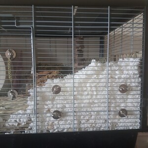 May include: A black metal cage with a white fluffy bedding material. The cage has a metal door and a metal latch. There are several metal clips on the side of the cage.