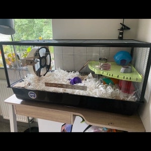 May include: A black hamster cage with a white exercise wheel, a green platform, a purple water bottle, and a blue hideout. The cage is on a wooden table.