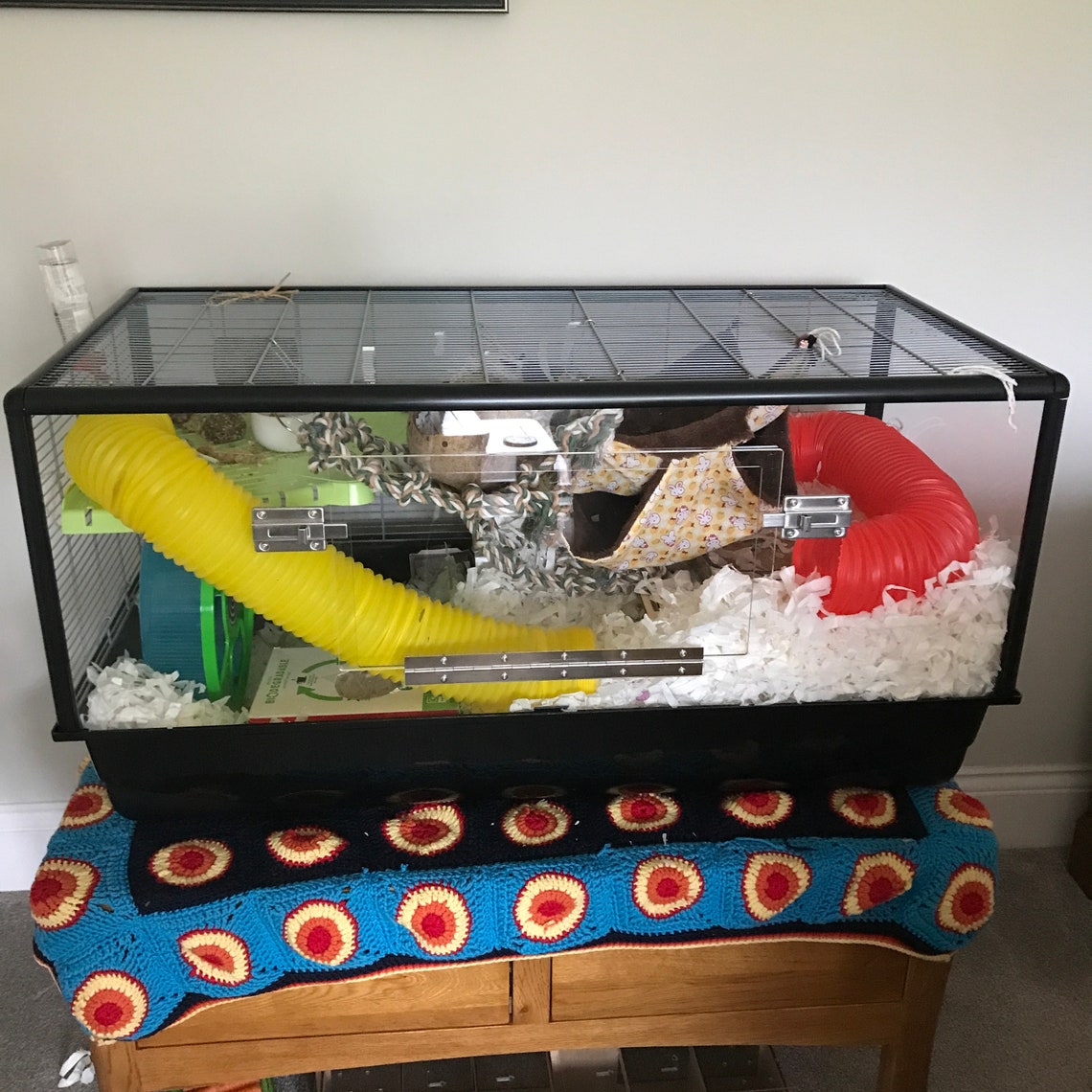 Savic Plaza Complete Cage Screens Etsy