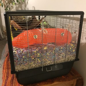 May include: A black wire cage with a red plastic tube, colorful bedding, and a wooden branch inside.