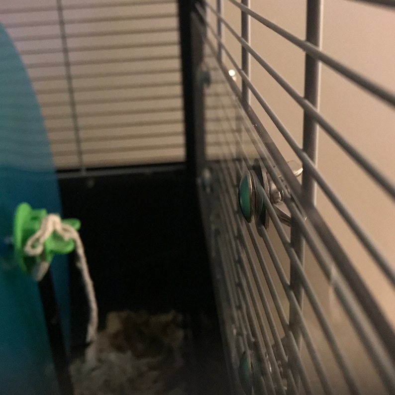 May include: Close-up of a cage door with a silver latch and turquoise colored plastic clips. The cage is made of metal bars.