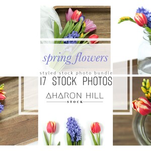 Spring Flowers | Styled Stock Photos | Lifestyle Floral Office Desktop Branding Photos for your Business | AharonHillStock