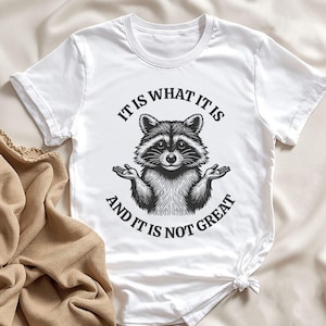 It Is What It Is And It Is Not Great PNG, Digital Download, Sublimation, T-shirt, Hoodie, Mug, Tumbler, Gift, Funny, Humor, Raccoon