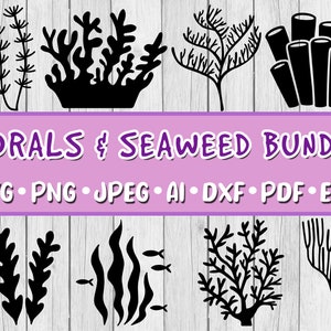 Corals and Seaweed SVG Bundle, Bundle of 8, Digital Download, Svg, Jpeg, Png, Dxf, Eps, Ai, PDF, Marine Plants, Ocean, Endangered, Coral