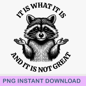 It Is What It Is And It Is Not Great PNG, Digital Download, Sublimation, T-shirt, Hoodie, Mug, Tumbler, Gift, Funny, Humor, Raccoon