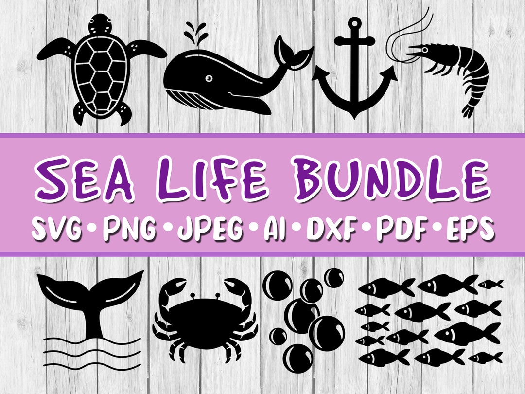 Sea Life SVG Bundle, Bundle of 8, Digital Download, Svg, Jpeg, Png, Dxf ...