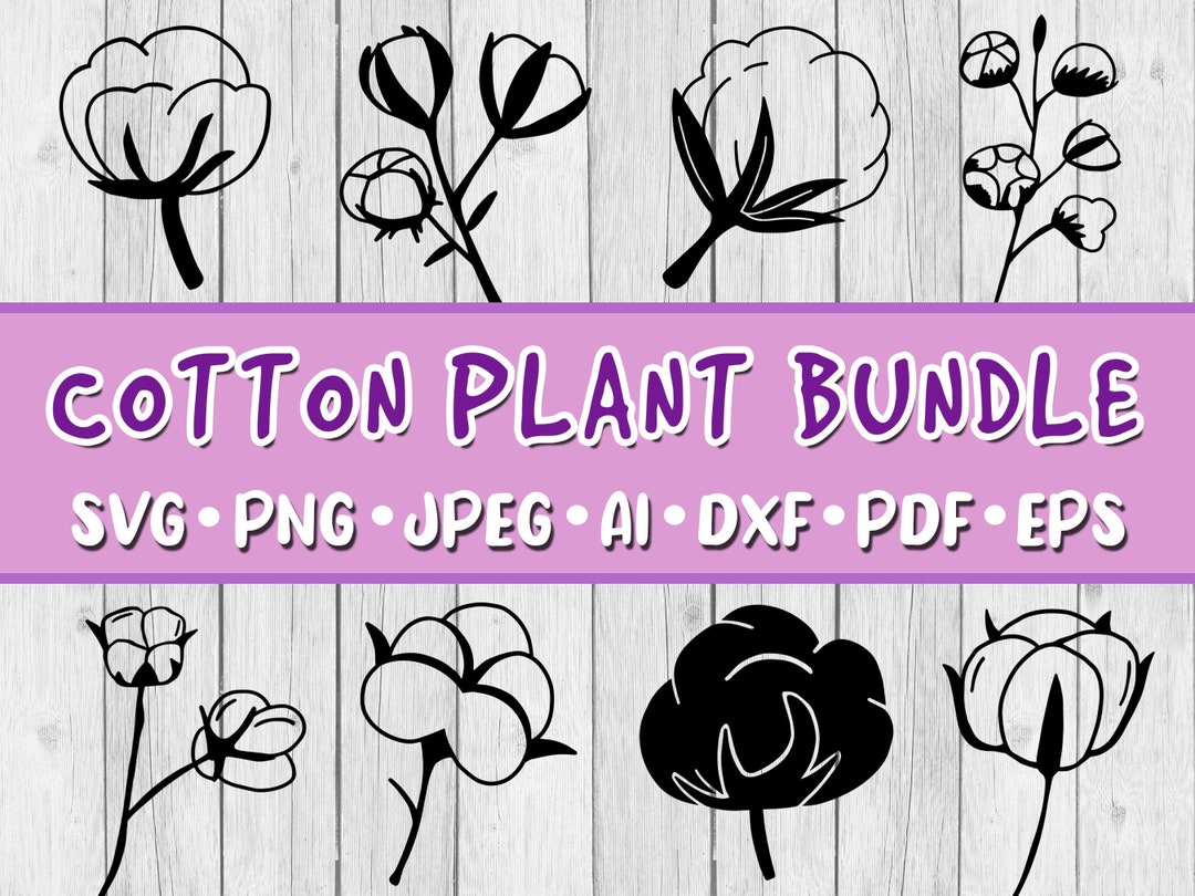 Cotton Plant SVG Bundle, Bundle of 8, Digital Download, Svg, Jpeg, Png ...