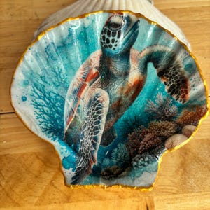 May include: A decorative seashell with a painted sea turtle design. The turtle is in blue, green, and orange, with coral and aquatic elements. The shell has a gold-painted edge. The shell is approximately 15 cm in diameter.