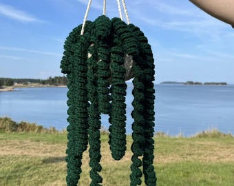 Planta en maceta tejida a crochet, HECHA A PEDIDO, Artículo físico, Varias opciones de plantas